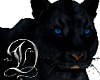 E: Black Panther Pet
