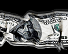 money flag