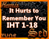 |S| It Hurts Remix