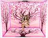 Pink Tree Box Background