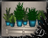 .:D:.Lindos Plants