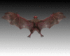 Evil Bat  Pet