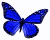 BlueButterflies