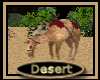 [my]Desert Camel Animate