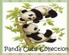 Gorgeous Panda Nursery