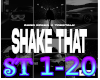 Shake that remix