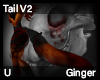 Ginger Tail V2