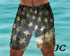JC~Flag Shorts~Trunks