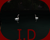 I.D.FOREST SWANS IN LOVE