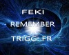 FEKI REMEMBER