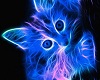 Electric Blue Kitty