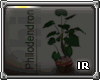 [IR] Philodendron