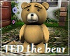TED the bear FV