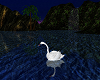 ~D~ H.I.S. Animated Swan