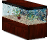 wood fish tank