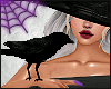 Dark Raven Pet Avi
