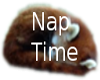 [B] Nap Time