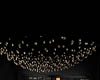 Diamond Lights ( KL)