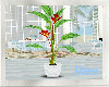 Ree|TROPICAL PLANT