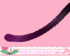 Cat Tail Plum
