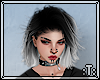 :T: Fussani Chrome