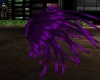 [69]purple showgirl