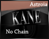 (A) Kane Belt - Personal