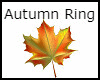 Autumn Ring - R 🍁