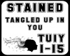 Stained-tuiy