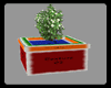 Cd Basic Potted Plant