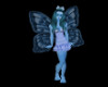 (B)Blue Butterfly/SP