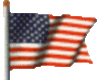 US Flag animated