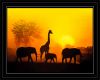 African Sunset picture