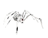 White vined spider