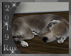 Rus: Sleeping dog 5