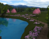The Park