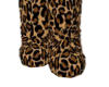 cheeta