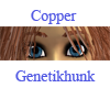Copper Female EyeBrows