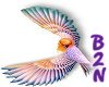 B2N-Colorful Bird