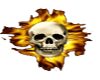 Skull And Flames