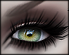 (CZ) Grass Eyes