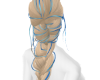 tresse blond mèche bleu