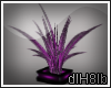 Purple Plant Ani
