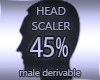 Head Resizer 45%