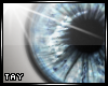 Eyescapes - SerendipityF