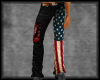 Harley USA Pants