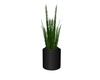 office plant