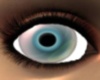Blue Doll Eye's