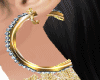 HOOPS GOLD