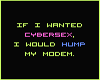 No Cybersex